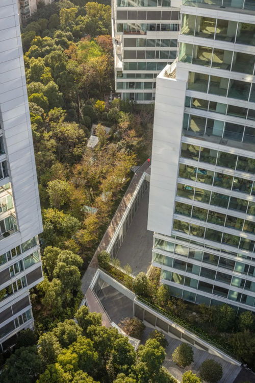 科技地标建筑如何更好地为人类服务——从2021年普利兹克建筑奖谈起